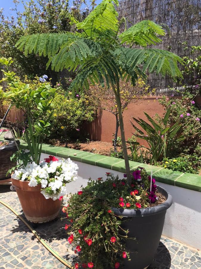 Apartamento Con Encanto En La Playa Frente Al Mar "Posada Rent House" Puerto del Rosario  Zewnętrze zdjęcie